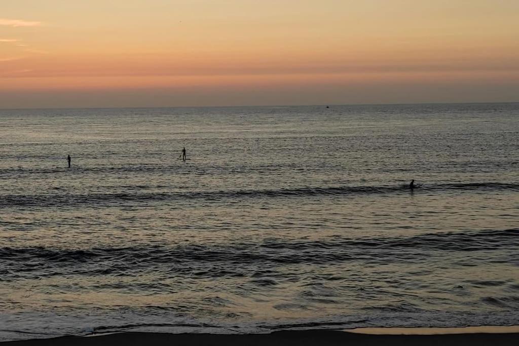 Areia Stayinn Beach Apartment Árvore Eksteriør bilde