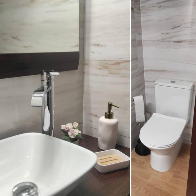Areia Stayinn Beach Apartment Árvore Eksteriør bilde